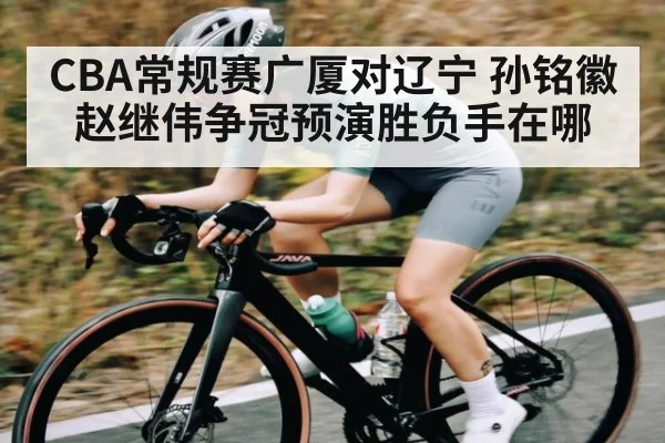 CBA常规赛广厦对辽宁 孙铭徽赵继伟争冠预演胜负手在哪